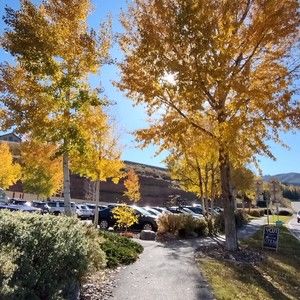 Meet your Posher, Marcela